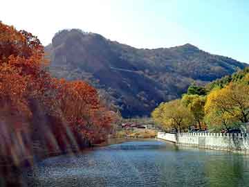 新澳天天开奖资料大全旅游团，深圳流水线